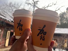 -潭柘寺景区