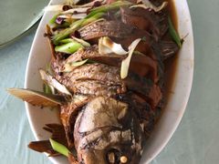 -黄河三峡风景名胜区