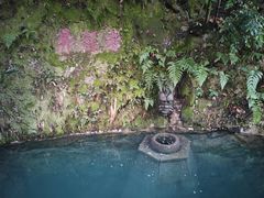 -十八棵（老龙井）御茶园(老龙井店)