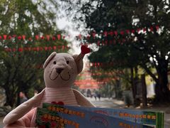 -云南勐巴娜西珍奇园