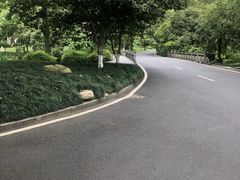 -杭州花家山庄