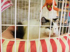 -常州逸高酒店-中餐厅