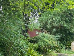 -南岳衡山风景名胜区-南岳大庙