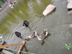 -河北村民俗体验园