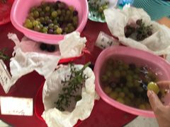 -马陆小张葡萄园农家乐