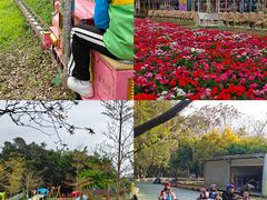 -盈香心动乐园