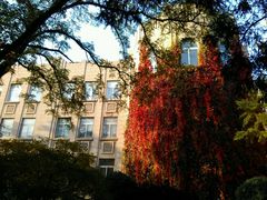-辽宁大学(崇山校区)