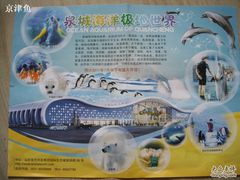 -泉城欧乐堡海洋极地世界