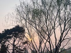 -甬妈妈湖畔里餐厅(唐山南湖旅游景区店)