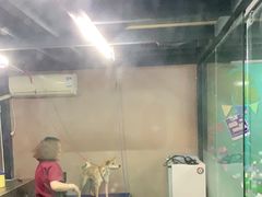-美联众合动物医院(唯恩分院)