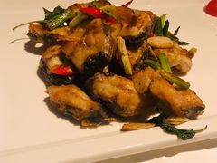 金不换煎焗白鳝-博多新记·粤菜(复兴店)