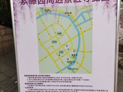 -嘉定紫藤园