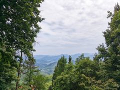 -莫干山风景区