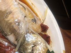 清蒸黄花鱼-虾宝贝胶东海鲜·渔家菜(小西天店)