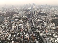 -六本木新城展望台(东京城市景观)