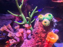 -沈阳海洋探索中心