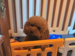 -E+有冰工厂·昆仑寒宫2(五角场店)