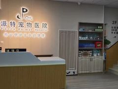 -派特宠物医院(海岸城店)