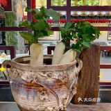 深圳探店｜很下饭的湘菜