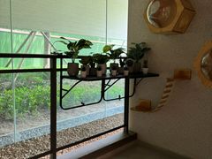 -广州市白云区图书馆