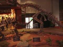 -自贡恐龙博物馆