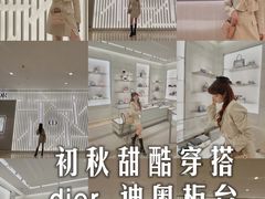 -DIOR迪奥(德基广场女装店)