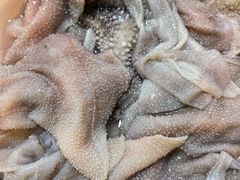 -苟味道老火锅(黄桷坪店)