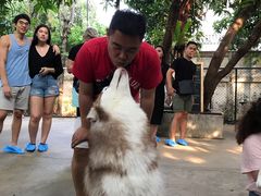 -TrueLove @ Neverland (Husky Cafe)