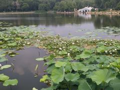 -长春市南湖公园