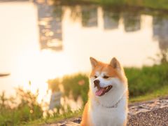 -天府广场