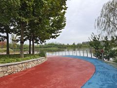 -东郊湿地公园