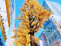 -秋叶原电器街