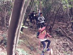 -午潮山国家森林公园
