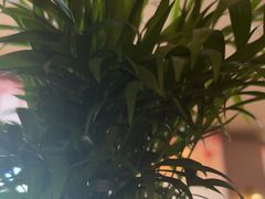-褚氏岛城一汤(闽江路店)