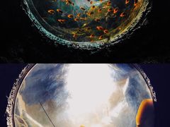 -珠海长隆海洋王国