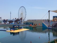 -秦皇岛乐岛海洋王国