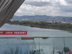-野菌皇海景野生菌火锅(滨海大道店)