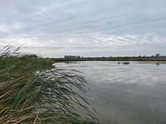 -盐城丹顶鹤湿地生态旅游区
