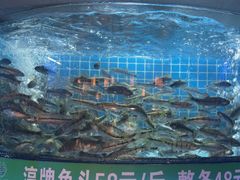 -千岛湖小鱼儿·淳安匠心农家菜