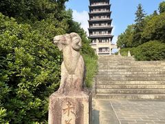 -宜兴龙背山森林公园