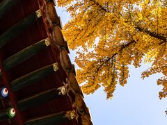 -宝通禅寺