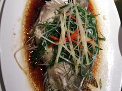 -一品红川菜(皇岗店)