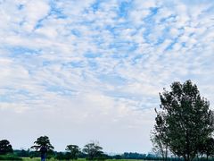 -汉长安城未央宫国家考古遗址公园