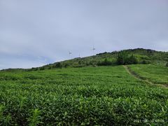 -东白山