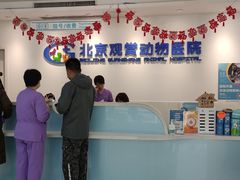 -北京观赏动物医院·24小时大型综合·猫专科·异宠专科