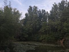 -竹泉村旅游度假区