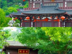 -华清宫景区