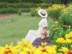 -春花秋色城市公园