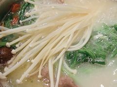 -蒙都43°9羊火锅·赤峰美食(宁城店)