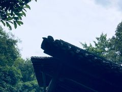 -解香楼(八盘岭路店)